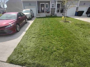 Mary P.'s lawn care service result