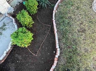 Lorenzo N.'s Flower Bed Weeding service result
