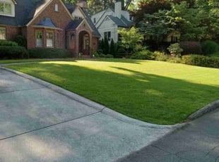 Natalie T.'s lawn care service result