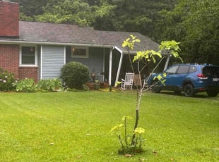 Michael R.'s lawn maintenance service result