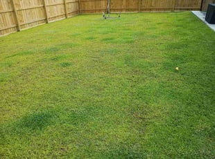 Angela C.'s lawn service service result