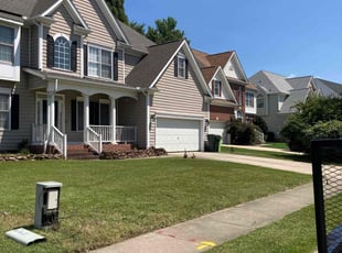Kaylan S.'s turf care service result