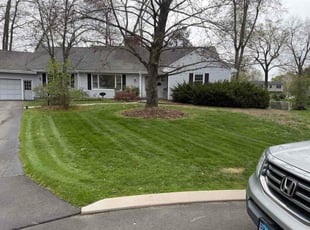 Jeff S.'s lawn care service result