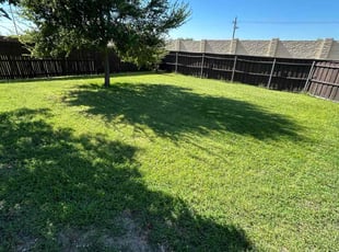 Karyn B.'s lawn care service result