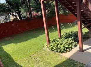 Steve C.'s grass maintenance service result