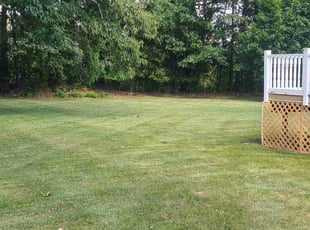 Shanda H.'s lawn maintenance service result