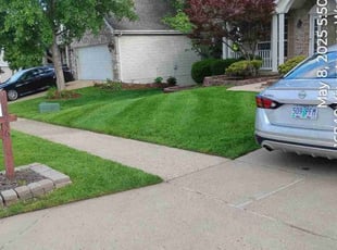 Michael V.'s lawn care services service result