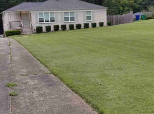 Robert S.'s lawn care services service result