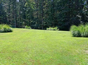 Max S.'s lawn care service result