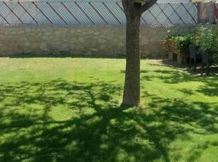 America M.'s turf care service result
