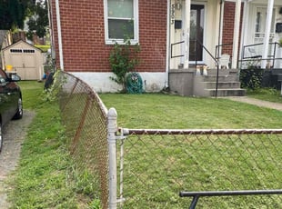 Monica I.'s grass cutting service result