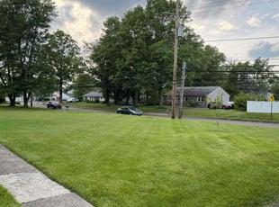 Maureen K.'s grass maintenance service result