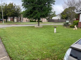 Angela L.'s lawn maintenance service result