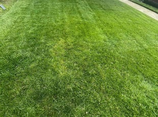 Jonathan A.'s lawn service service result