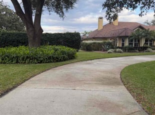 Lenita B.'s turf care service result