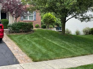 Larry C.'s grass cutting service result