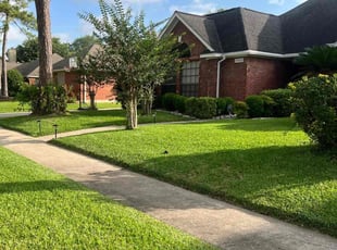 Jubreel S.'s grass cutting service result