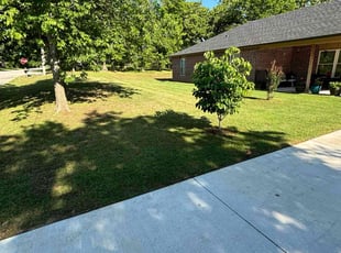 Milton N.'s turf care service result
