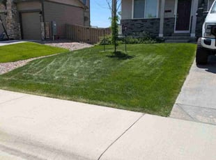 Angela T.'s lawn care services service result