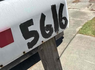 Kelsey S.'s lawn care service result