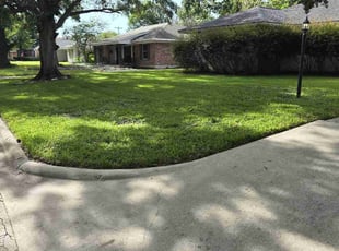 Ron C.'s turf care service result