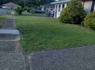 Jonathan F.'s grass cutting service result