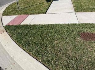 Scott T.'s lawn maintenance service result
