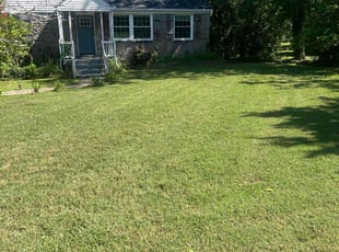 Laura D.'s turf maintenance service result