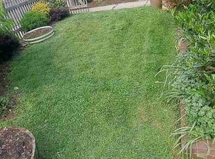 Joanna P.'s grass maintenance service result