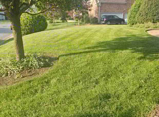 Brianna B.'s turf maintenance service result