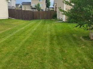 Todd B.'s lawn care services service result