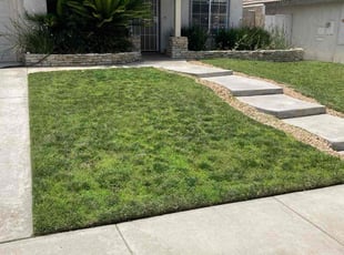 Theta Y.'s grass cutting service result