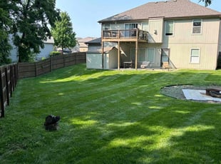 Montse L.'s grass maintenance service result