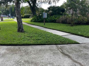 Marlon M.'s lawn maintenance service result