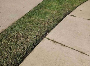 Doris V.'s lawn service service result