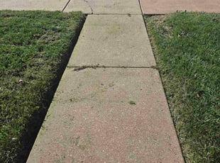 Nedra N.'s grass cutting service result