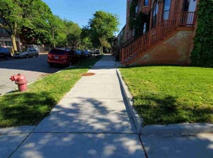 Chico M.'s lawn care services service result