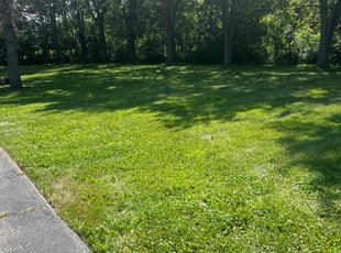 Jessica N.'s lawn care service result