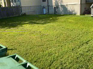 Clarence W.'s grass cutting service result