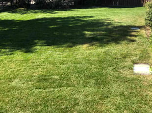 Jennifer A.'s lawn maintenance service result