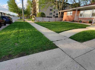 Yvonne F.'s grass maintenance service result