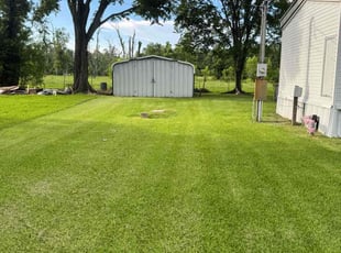 Khaatim B.'s lawn care services service result