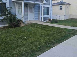 Sean M.'s grass cutting service result