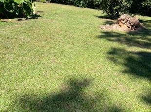 Keon L.'s grass cutting service result