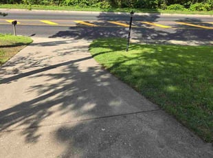John D.'s lawn care service result