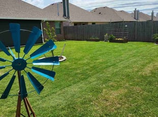 Dennis C.'s lawn service service result
