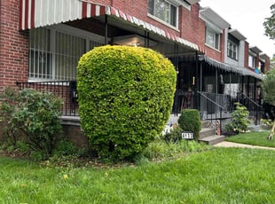 Hong Q.'s Bush Trimming service result