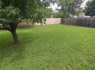 Joy S.'s grass maintenance service result