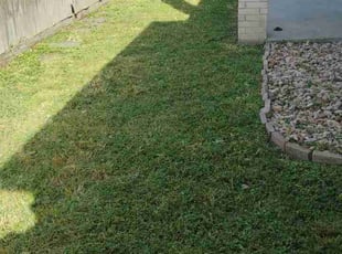 Paula S.'s lawn care services service result