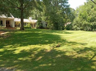 James J.'s turf care service result